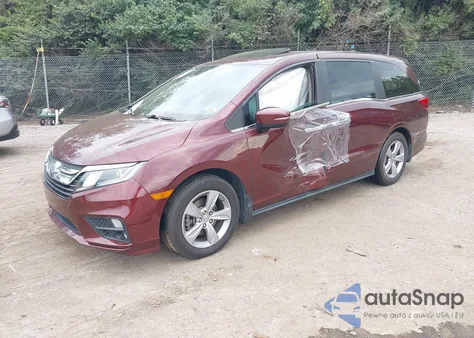 2019 Honda Odyssey Ex-L z USA, uszkodzony, nr VIN 5FNRL6H75KB019568